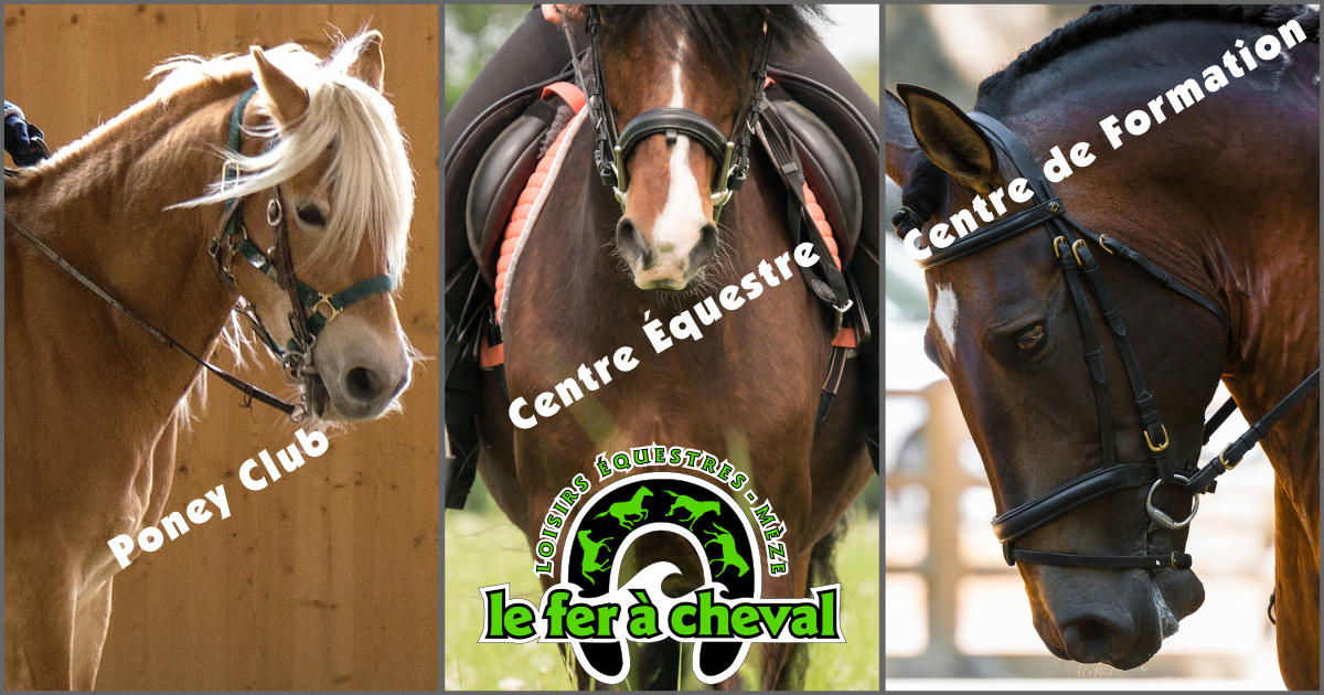 Broche Plaqué Or CHEVAL PARADE | BIJOUX EQUESTRES | EQUITATION | CHEVAL